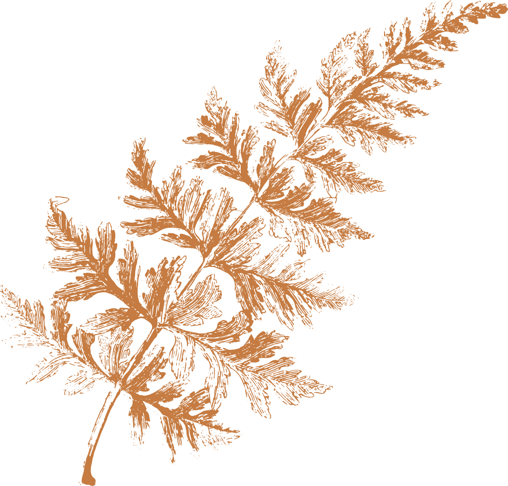 leaf-brown